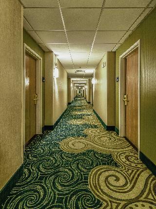 Hotel Holiday Inn Express Jacksonville - Blount Island