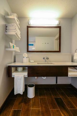 Hotel Hampton Inn Brighton Mi