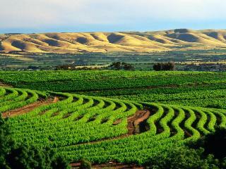 Hotel Amande Bed And Breakfast