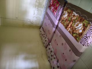 Albergue Penginapan Roro Mendut