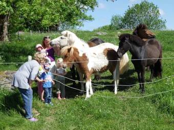 Agroturismo Backg�rdens Turism & Kultur