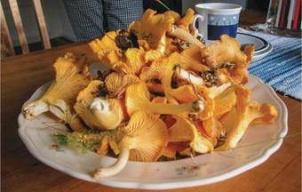 Holiday Home V�stra �mtevik 9