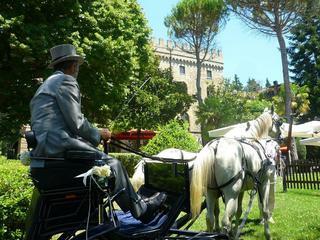 Hotel Relais Torre Dei Calzolari Palace