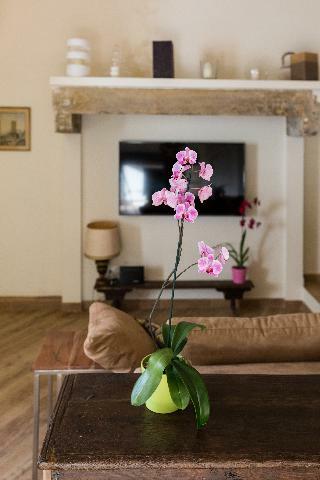 Hotel Luxurius Apartment In Santa Maria