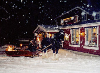 Posada T�llbergsg�rdens Hotell