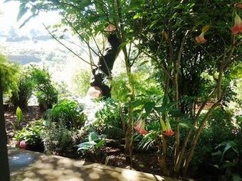 Sabie Self Catering Apartments