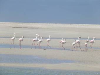 Apartamento South Of Africa Self Catering Guest Cottage