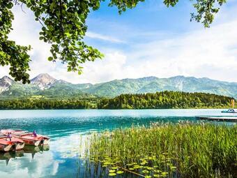 Alpe Adria Apartments - Top 1