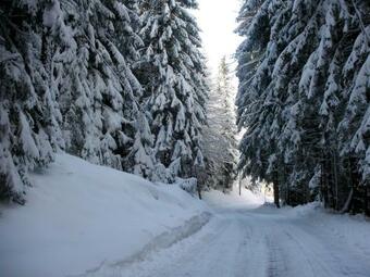 Lovely Farmhouse In Fresach With Swimming Pool