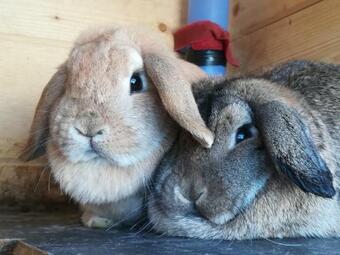 Agroturismo Praschhof