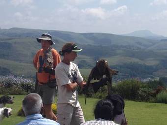 Bed & Breakfast Little Acres B & B