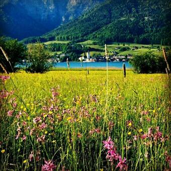 Apartamento Fumerhof