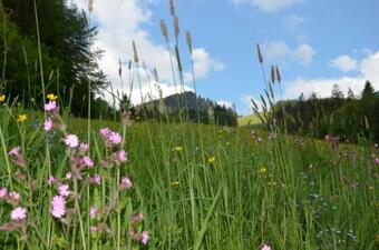 Apartamento Heustubn Ferienwohnungen