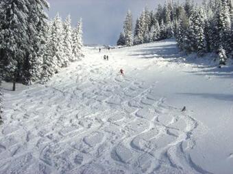 Villa H�tte Pr�bichl