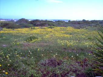 Hostal Baviana Beach Lodge