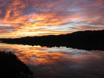 Dungbeetle River Lodge