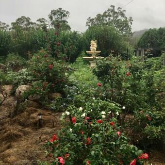 Hostal Sabo?s On Severn