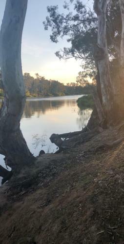 Lodge Perricoota Station