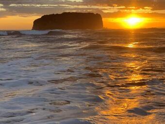 Rangoon Sunrise @ Minnamurra