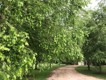 Byron Hinterland Farm - Minutes To Everything!