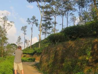 Hotel Polwaththa Eco Lodges