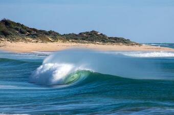 All Decked Out
