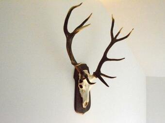 Comfortable House With Sauna And Ping-pong, Quiet, Near La Roche