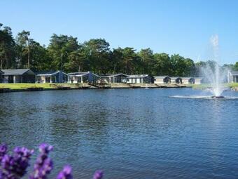 Holiday Home Europarcs Resort Zilverstrand-8