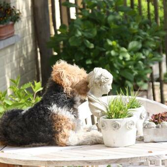 Bed & Breakfast Amberhoeve