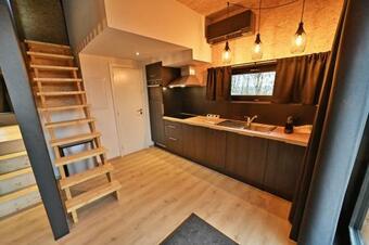 Forest Cube Tradition