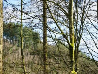 Zen-inspired Holiday Home In Orchimont With Jacuzzi