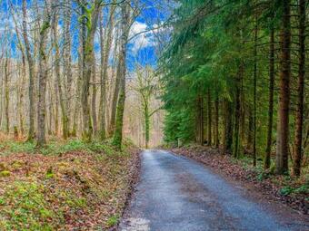 Pleasing Chalet In Oignies-en-thi�rache With Garden