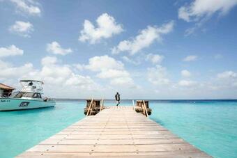 Hotel Captain Don's Habitat