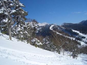 Le Chic-bois� - Spa, Vue, Grandiose