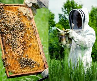 Auberge Dans Les Bras De Morph�e B&B