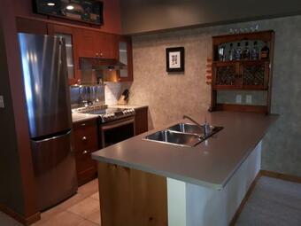 Apartamento Silver Fox