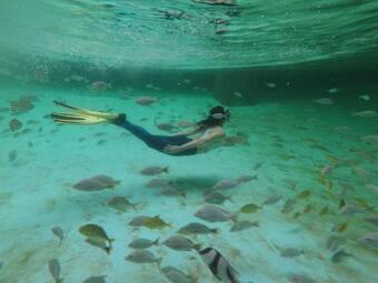 Hotel Big White Whale Ocean Exploration World