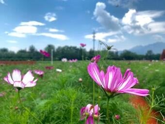 Hotel Club Med Joyview Beijing Yanqing Resort