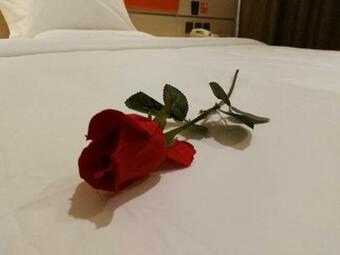 Hotel 7days Premium Tengzhou Middle College Road High Speed Rail Station