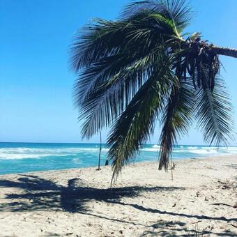 Hostal Estrellas Del Tayrona