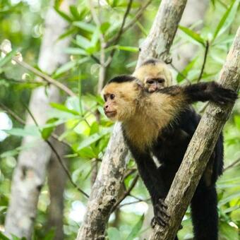 Hotel El Paraiso Azul