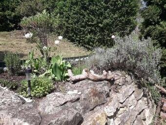 Luxury Living Apartment