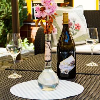 Wellness Hotel Rezidence