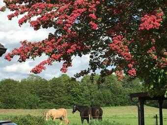 Apartamento Zwischen Den Feldern