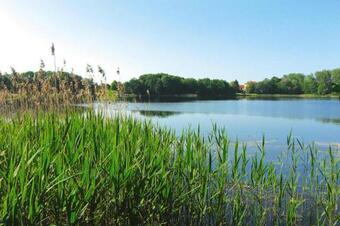 Holiday Home Daschow - Dms02001-f