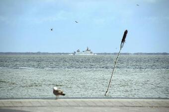 Bungalow Dornumersiel - Dns01101-b