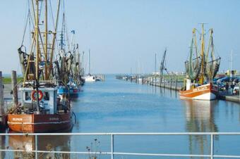 Bungalow Dornumersiel - Dns01123-b