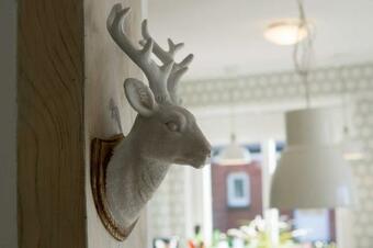 Komfort Ferienhaus Polly