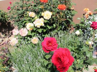 Apartamento Haus Vogelschau