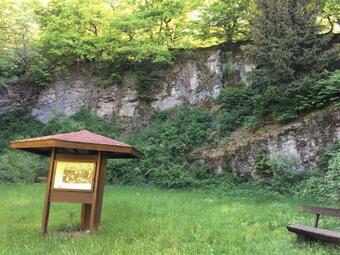 Modern Apartment In Ellar With Terrace